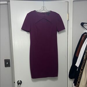 Banana Republic Rich Purple Mini Dress